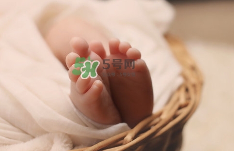 孕婦怎么吃燕窩最好？哪些孕媽需要吃燕窩？