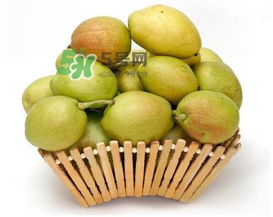 梨子有公母之分嗎？梨子怎么分辨公母