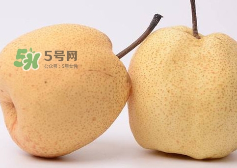 碭山梨好還是皇冠梨好？碭山梨和皇冠梨的區(qū)別