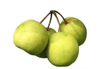 碭山梨好還是皇冠梨好？碭山梨和皇冠梨的區(qū)別