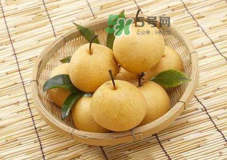 梨子怎么保存？梨子可以放冰箱嗎