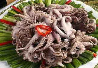 八爪魚可以冷凍嗎？八爪魚可以放冰箱嗎？