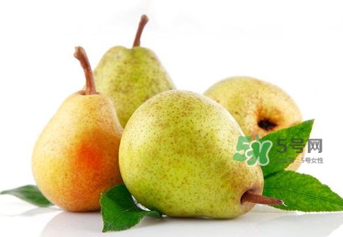 為什么梨子是溫度最高的水果？梨子什么人不能吃