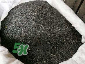 怎么看男人腎好不好？男人腎虛吃什么調(diào)理？