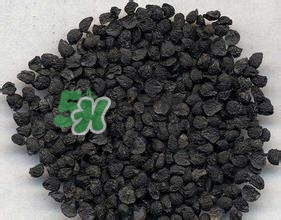 怎么看男人腎好不好？男人腎虛吃什么調(diào)理？