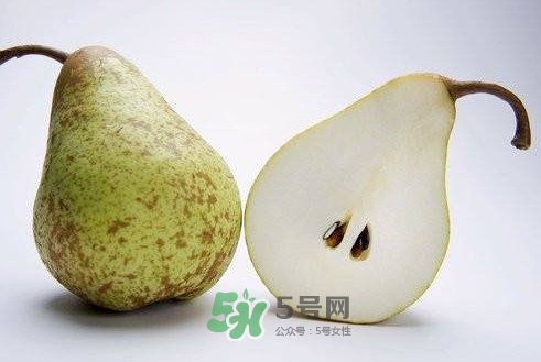 梨子核可以種盆栽嗎？梨子籽怎么種小盆栽