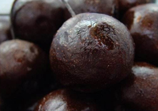 孕婦能吃凍梨嗎？懷孕了可以吃凍梨嗎