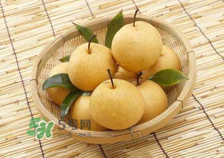 買(mǎi)梨子怎么挑選？梨子外面為什么要包張紙