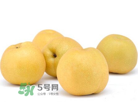 碭山梨什么時候成熟？碭山梨幾月份成熟