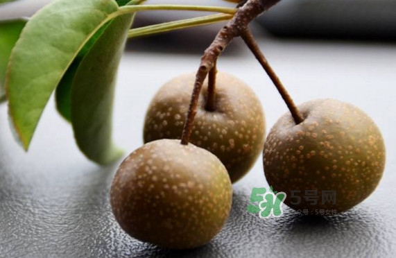 棠梨子怎么吃？棠梨子孕婦可以吃嗎