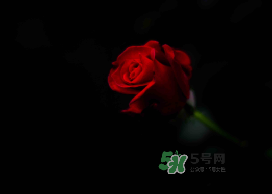 七夕可以怎樣賺外快_七夕賣什么賺錢_賣花賺錢嗎 七夕可以怎樣賺外快_七夕賣什么賺錢_賣花賺錢嗎