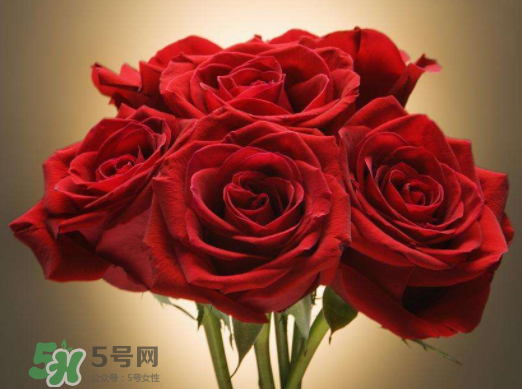 七夕可以怎樣賺外快_七夕賣什么賺錢_賣花賺錢嗎 七夕可以怎樣賺外快_七夕賣什么賺錢_賣花賺錢嗎