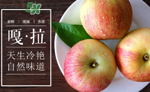 嘎啦蘋果多少錢？嘎啦果多少錢一斤