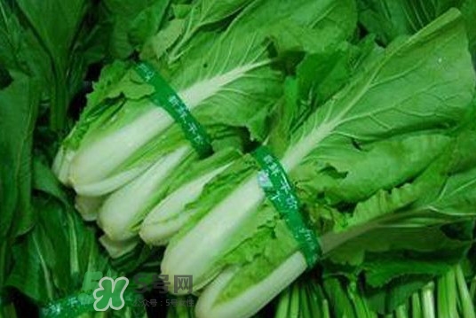 水白菜可以吃嗎？水白菜能吃嗎