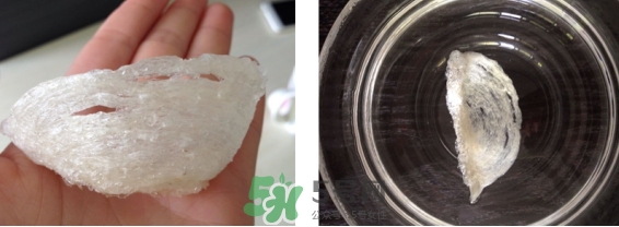 燕窩用什么鍋燉最好吃？燕窩用什么器具燉最好？