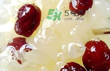 燕窩用什么鍋燉最好吃？燕窩用什么器具燉最好？