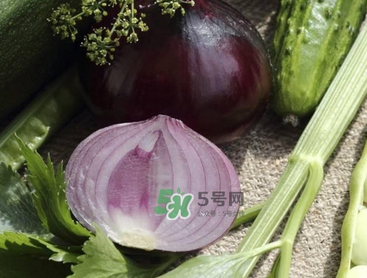 皮芽子發(fā)芽了可以吃嗎？新疆人為什么都愛吃皮芽子