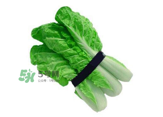 水白菜可以吃嗎？水白菜能吃嗎