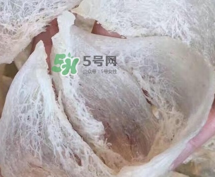 燕窩里面含有激素嗎？燕窩兒童吃了會不會性早熟？