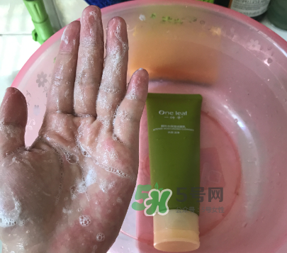 一葉子補水潔面乳怎么樣？一葉子補水洗面奶好用嗎？