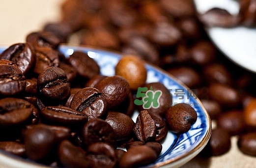 貓屎咖啡多少錢一杯？貓屎咖啡多少錢一斤