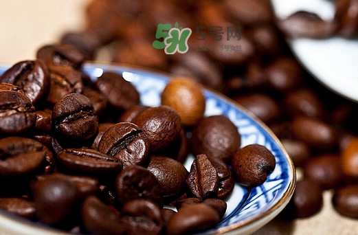 貓屎咖啡是貓屎做的嗎？貓屎咖啡是什么貓的屎