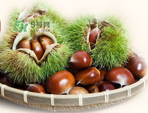 羅田是中國板栗之都嗎？羅田板栗什么時(shí)候成熟