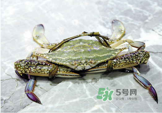 梭子蟹可以和酸奶一起吃嗎？吃完梭子蟹能喝酸奶嗎？