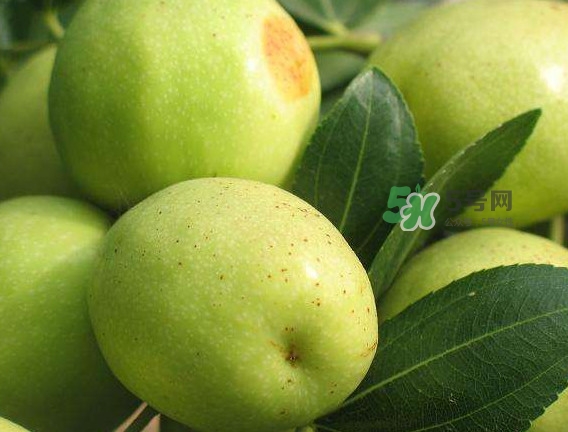 梨棗和冬棗哪個大？梨棗和冬棗的區(qū)別