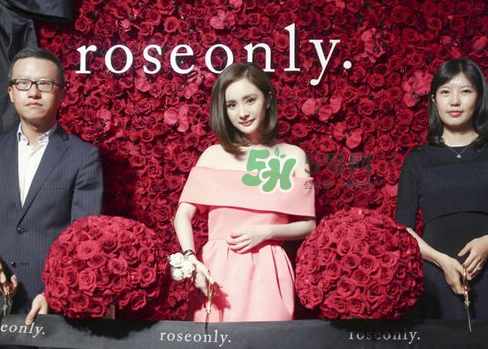 roseonly怎么樣？roseonly好看嗎？
