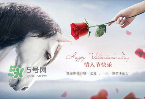 roseonly怎么樣？roseonly好看嗎？