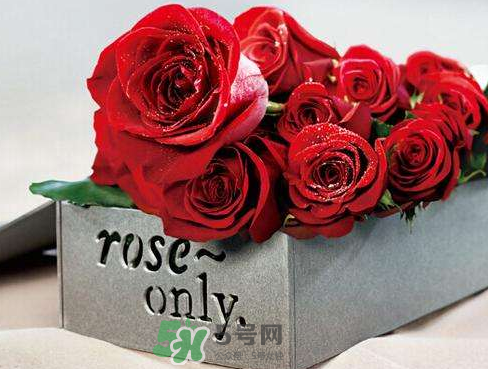 roseonly怎么樣？roseonly好看嗎？