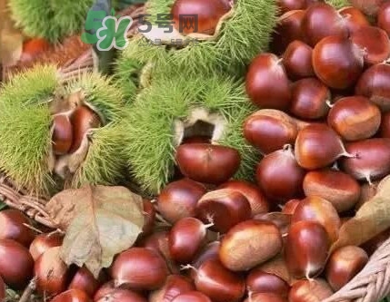 羅田是中國板栗之都嗎？羅田板栗什么時(shí)候成熟