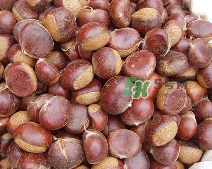 哪里產(chǎn)的板栗最好吃？板栗怎么挑選