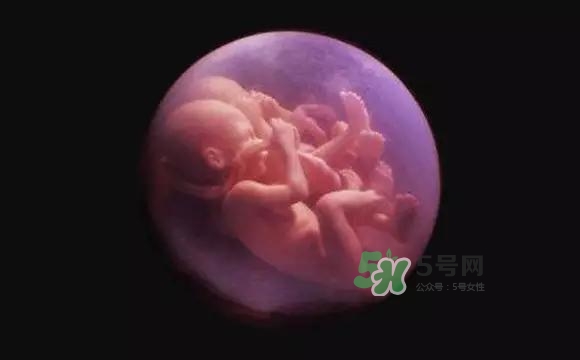 多胞胎是怎么生產的？多胞胎應選擇什么分娩方式