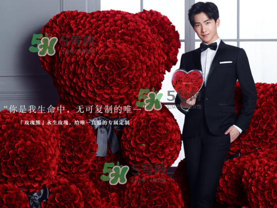 roseonly熊什么材質(zhì)？roseonly玫瑰熊是真花嗎？