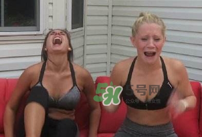 卡羅萊納死神辣椒中國有嗎？死神辣椒哪里有賣