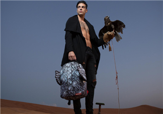 sprayground翅膀書(shū)包多少錢(qián)？sprayground雙肩包什么價(jià)位？