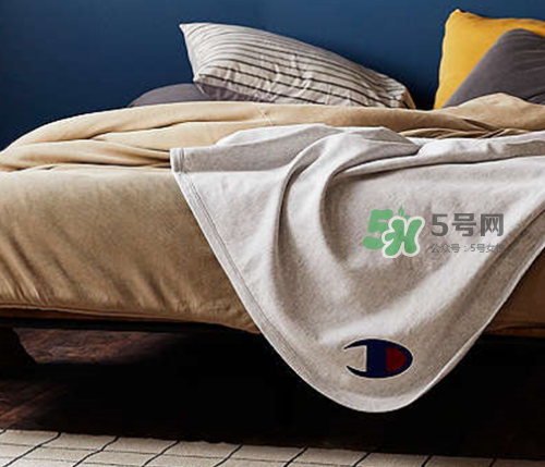 champion reverse weave毯子多少錢_在哪買_怎么買？