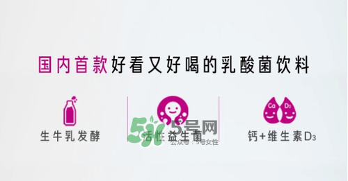 每日活菌乳酸菌多少錢一瓶？每日活菌乳酸菌好喝嗎？