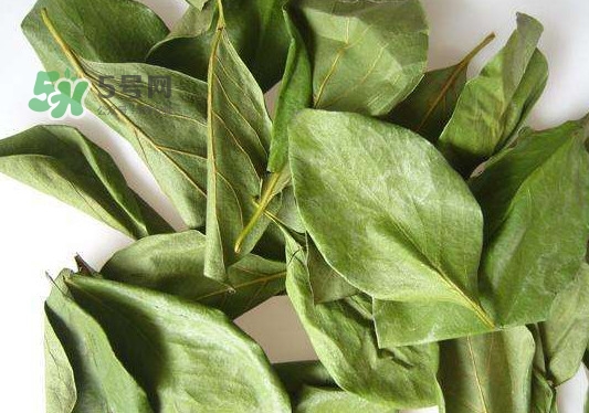 怎樣制作柿子葉茶？柿子葉茶的做法