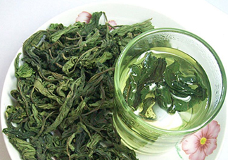 柿子葉能治胃病嗎？柿子葉什么時候采最好