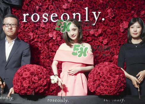 roseonly怎么看真假？roseonly真假對比