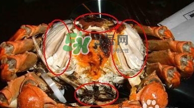 螃蟹怎么吃好吃？螃蟹和什么一起吃最好？