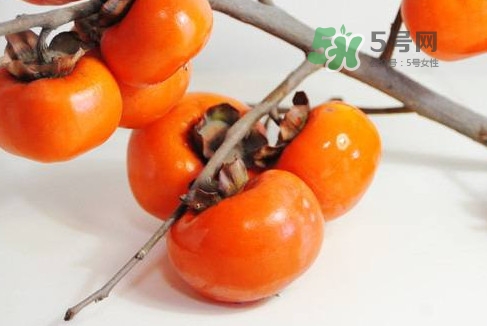 柿子多少錢一斤 柿餅多少錢一斤 柿子多少錢一斤 柿餅多少錢一斤