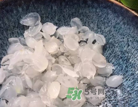 皂角米可以直接煮嗎？皂角米和什么一起煮好