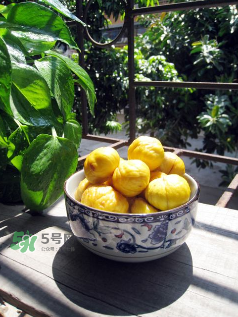 板栗吃多了會(huì)放屁嗎？板栗吃多了胃脹怎么辦？