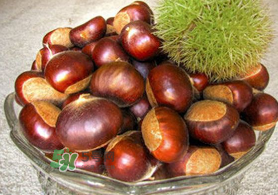 板栗能補(bǔ)腎嗎？板栗補(bǔ)腎陰還是腎陽？