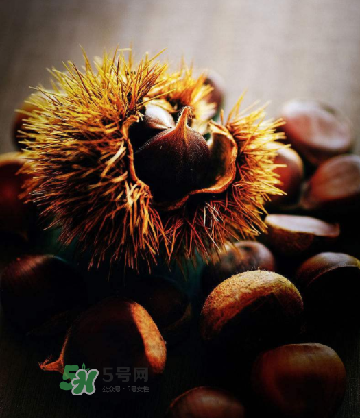 板栗能補(bǔ)腎嗎？板栗補(bǔ)腎陰還是腎陽？