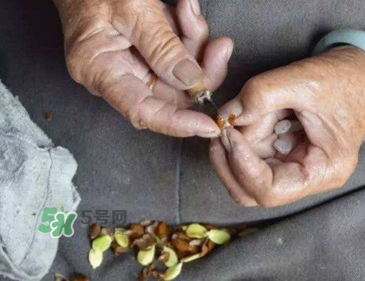 皂角米是怎么剝出來的？皂角米是酸性還是堿性